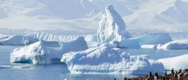 Dokumentární film o expedici do Antarktidy