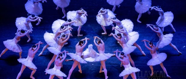 Онлайн-показ балета «Лебединое озеро»