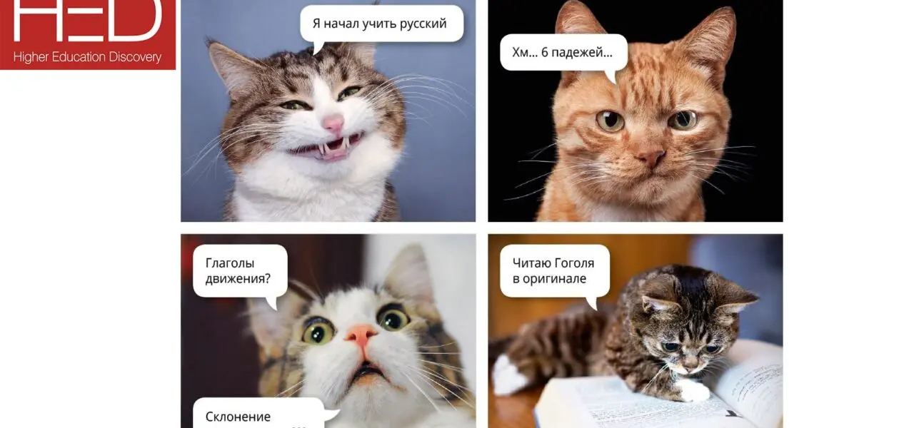 5 причин изучать русский язык