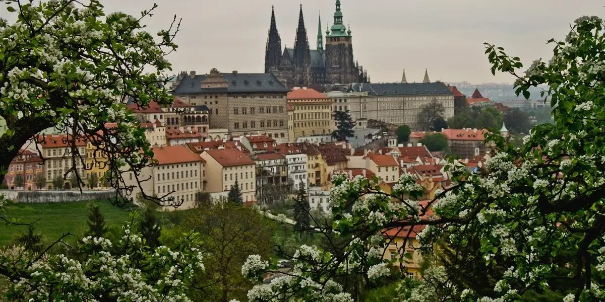 Exkurze „Pražský hrad« projektu „Procházky po Praze» 