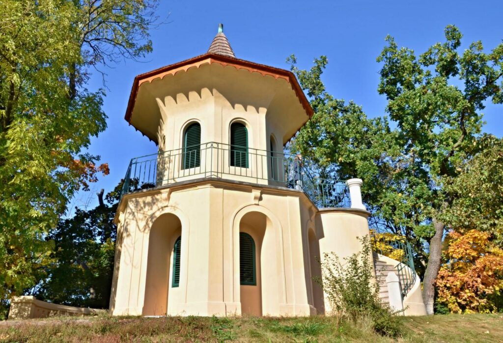 podzimni-cibulka