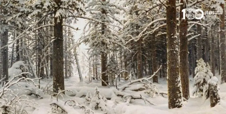 Книжная выставка к Международному дню художника