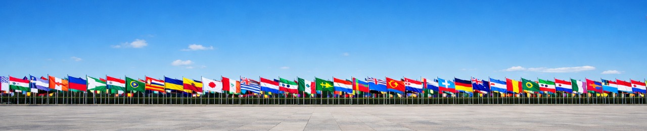 Всемирный фестиваль молодёжи 2024, Сочи — флаги стран-участниц