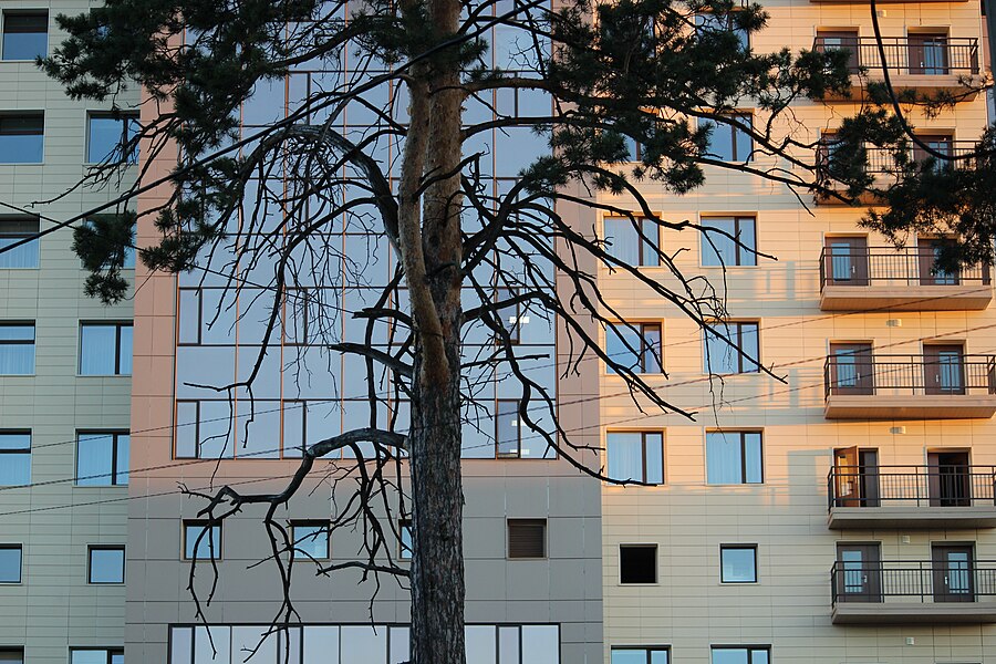 Novosibirská státní univerzita